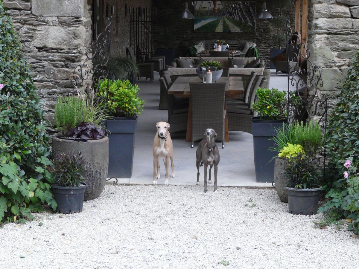 Manoir De Kerledan Hotel Carhaix-Plouguer Luaran gambar
