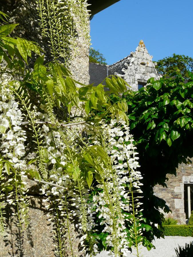 Manoir De Kerledan Hotel Carhaix-Plouguer Luaran gambar